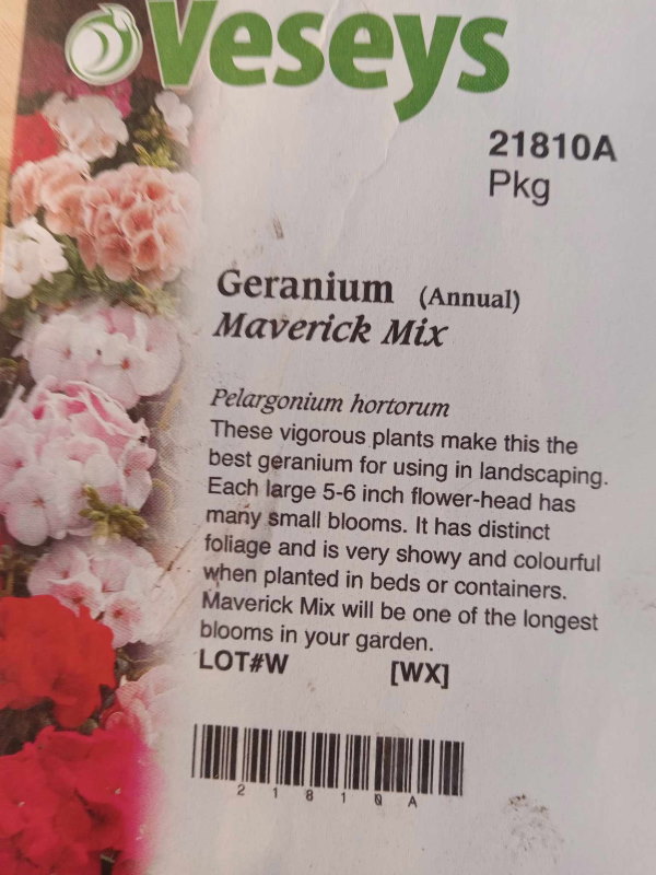 growing-geraniums-from-seed-seed-package1-600x800.jpg