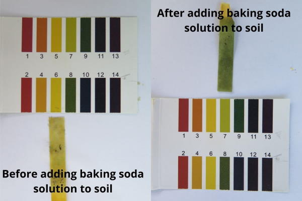 The pH is changed dramatically with the addition of baking soda