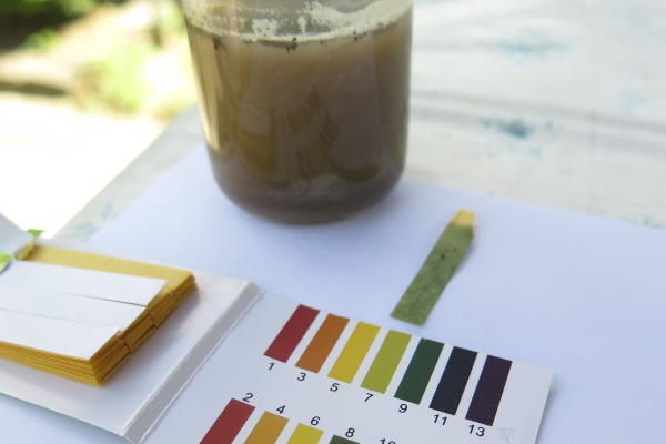 The soil is dissolved in the water, then tested to see what the pH is