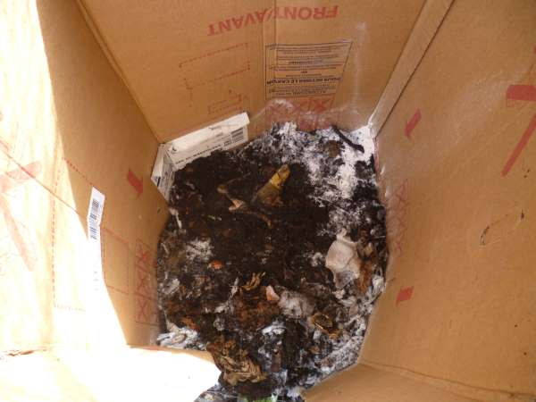 The first layer fills the bottom of the cardboard lined wire bin