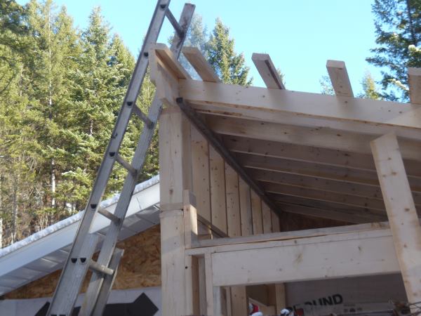 Roof rafters and strapping