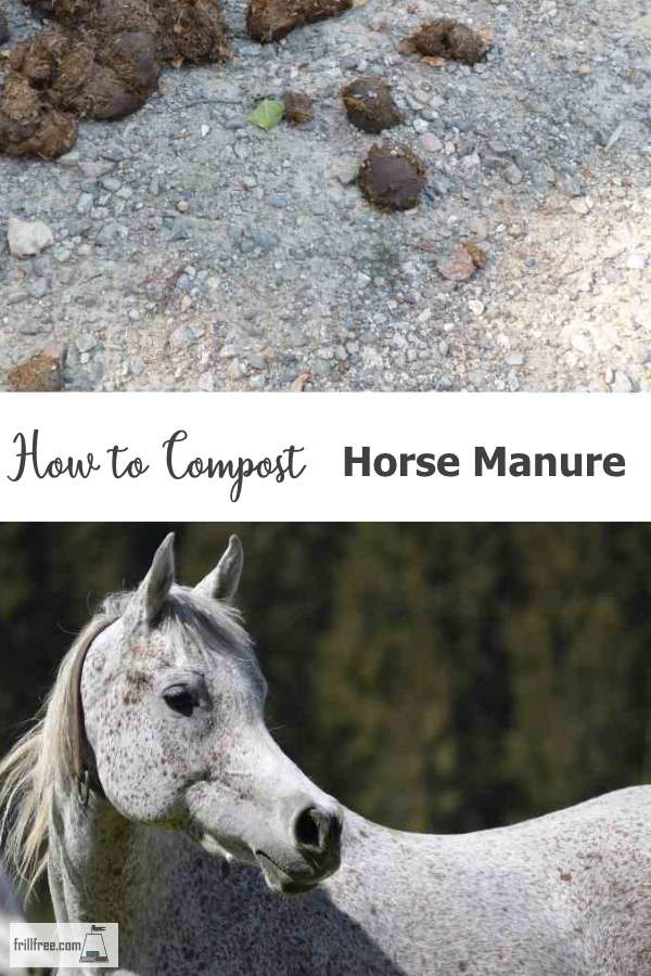 How To Compost Horse Manure