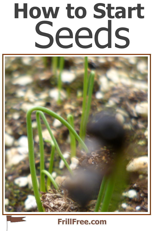 How to Start Seeds