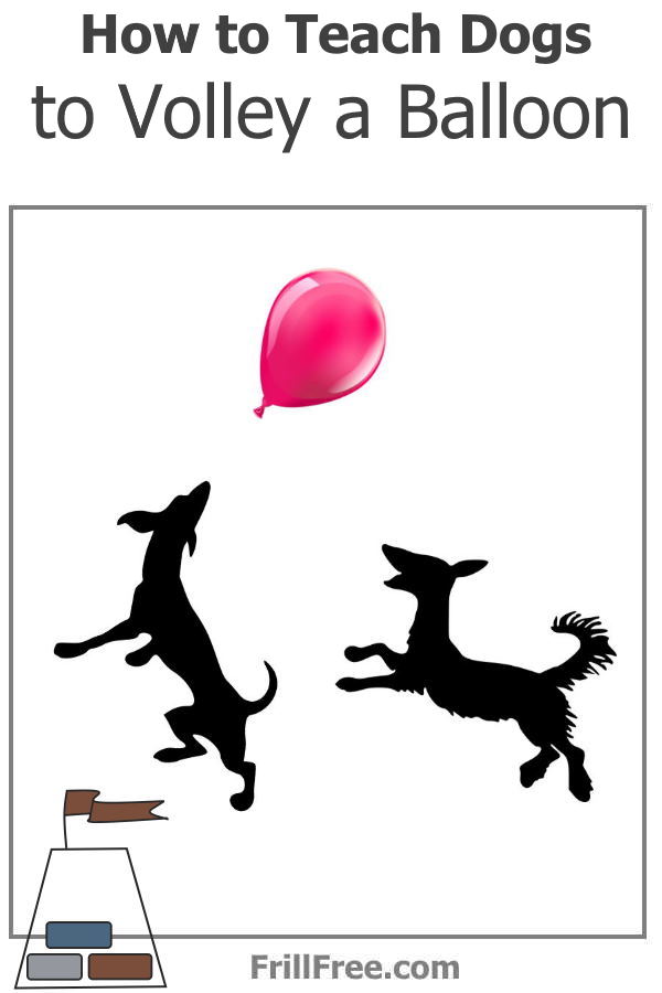 How to Teach Dogs to Volley a Balloon