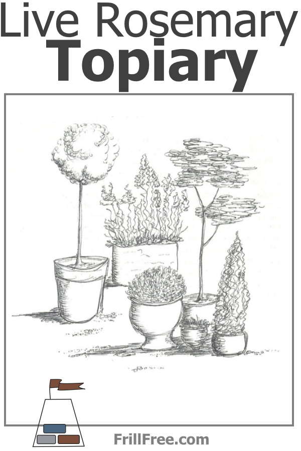 live-rosemary-topiary-600x900.jpg