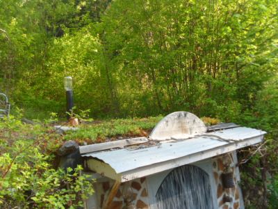 Sedum and other hardy succulents thrive on the roof of the earth sheltered root cellar