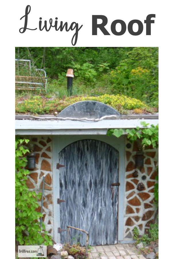 A Living Roof over your dwelling provides shelter for the roof itself, as well as habitat for small creatures and insects, water collection and storm water abatement; there is no downside