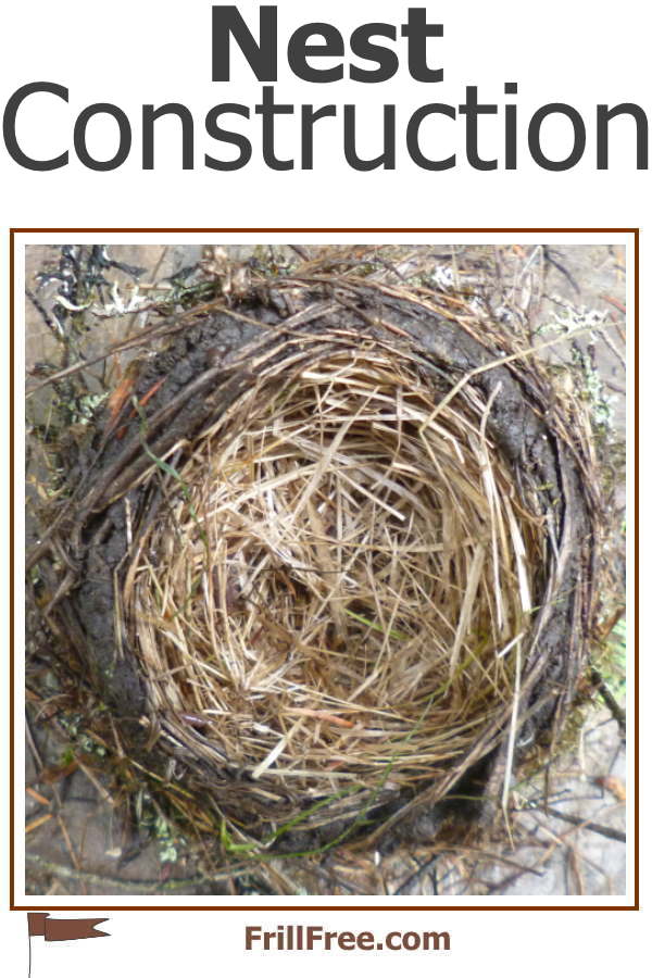 Nest Construction