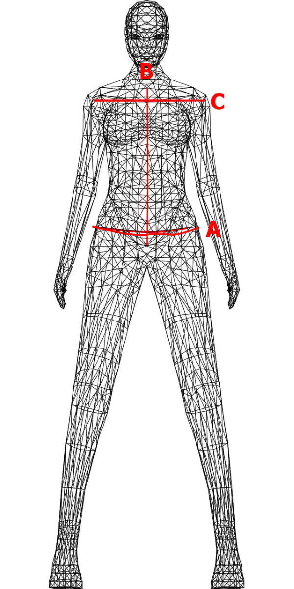 Vector graphic of a woman used as a diagram for measuring