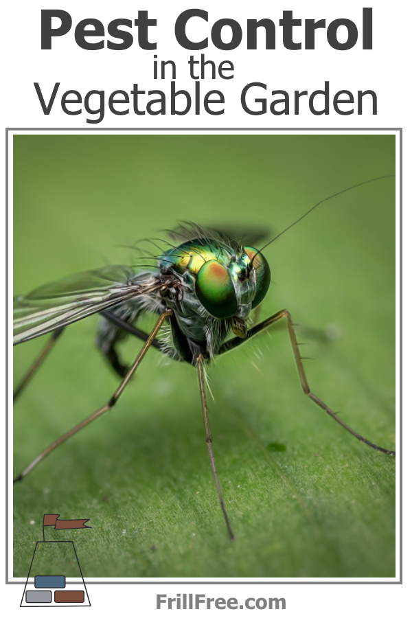 Pest Control in the Vegetable Garden