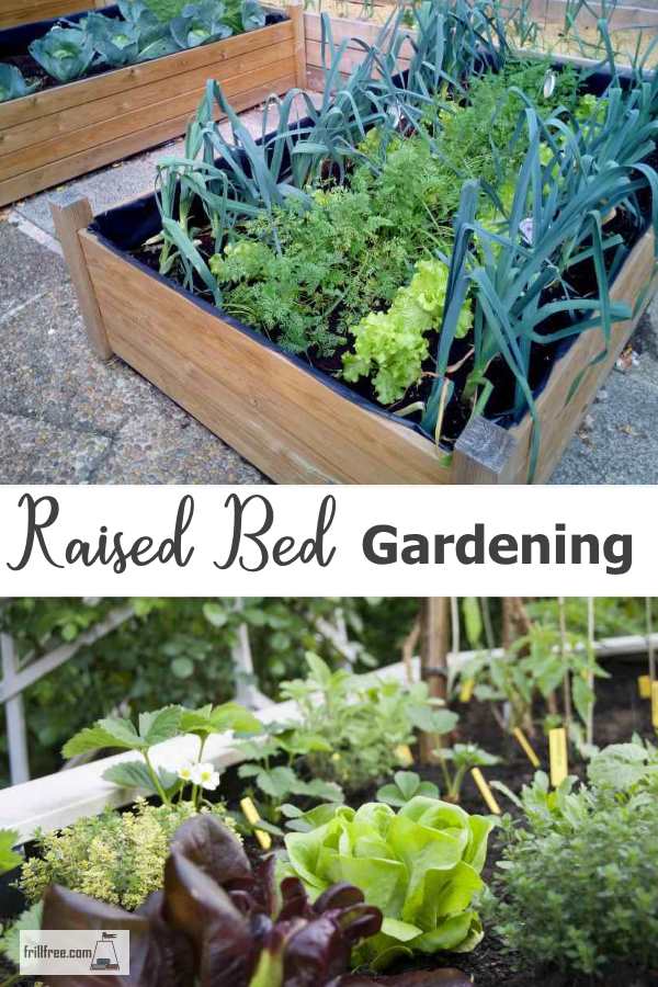 Raised Bed Gardening