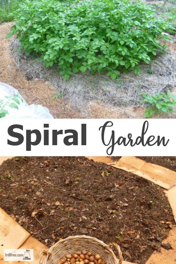 spiral-garden600x900.jpg