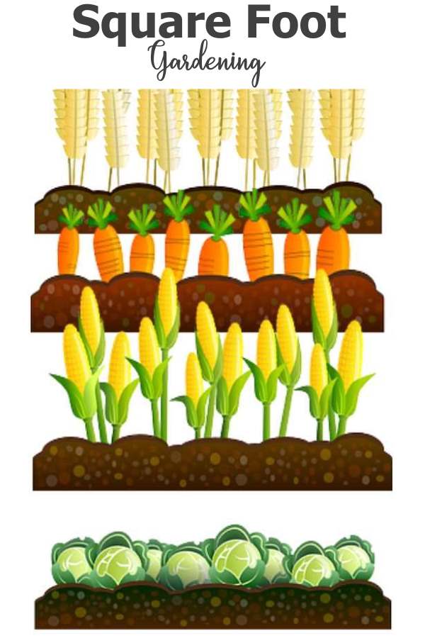 Square Foot Gardening Method Raised Beds Intensively Gardened