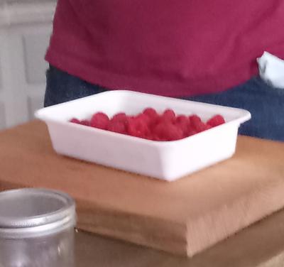 Raspberry Bonanza