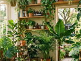 thumb-best-light-for-tropicals.jpg