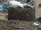 Chicken Coop Compost