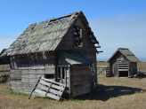 Chicken Coops