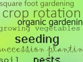 Crop Rotation