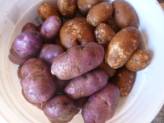 How To Grow Potatoes