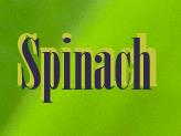 How To Grow Spinach