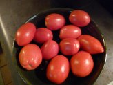 How To Grow Tomatoes