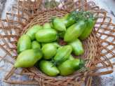 How To Ripen Green Tomatoes