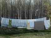 Laundry Clothes Line