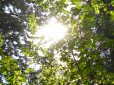 Passive Solar Home
