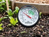 thumb-soil-temperature-for-germinating-seeds.jpg