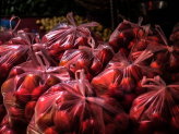 thumb-untie-a-plastic-bag.jpg