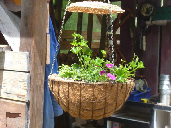 Protecting hanging baskets from hail