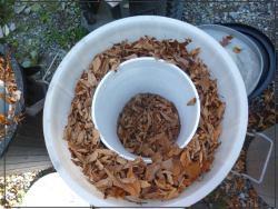 A layer of leaves in the trash can