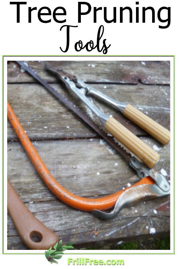 tree-pruning-tools-600x900.jpg