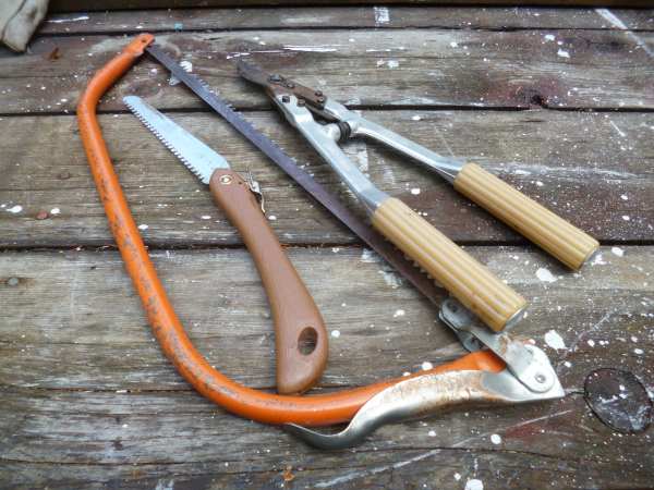 Tree Pruning Tools