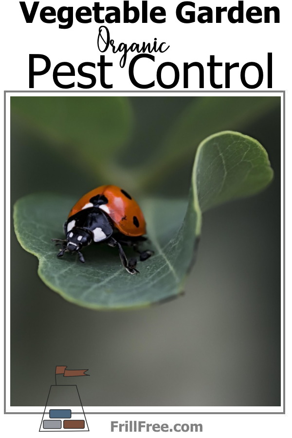 vegetable-garden-organic-pest-control600x900.jpg