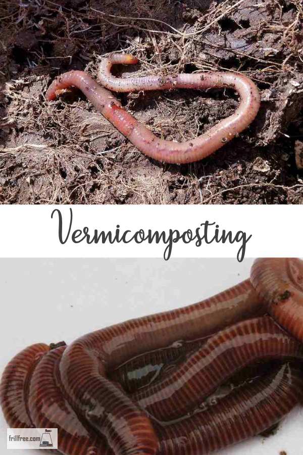 Vermicomposting