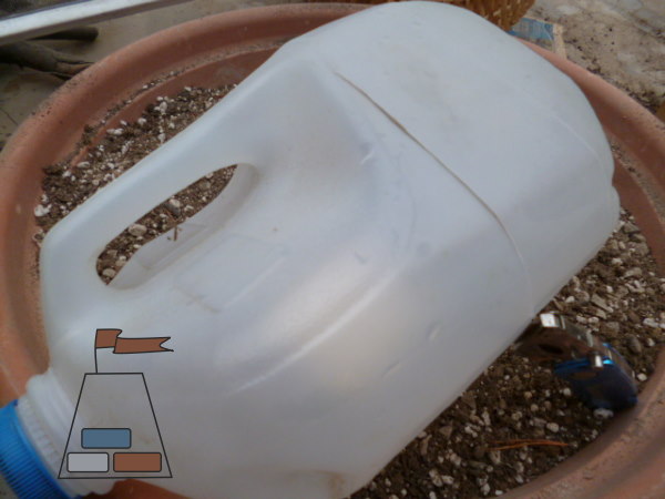 winter-sowing-jug1-600x450.jpg