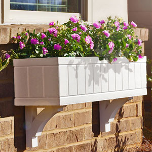 Window Box Garden