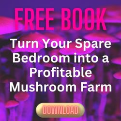 Mushroom-farm.jpg