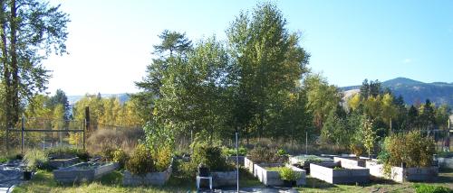 The garden beds at Hannekes Place