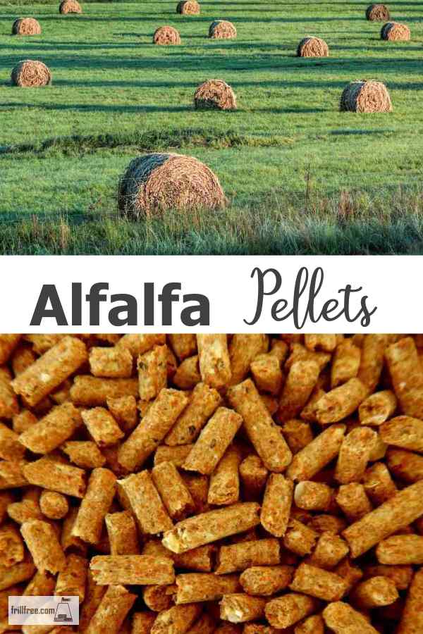 Alfalfa Pellets