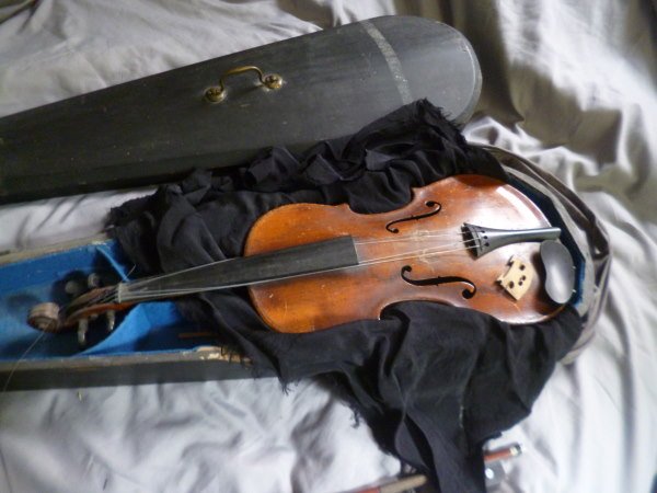 Revealed - the antique violin