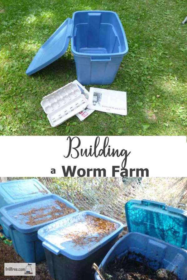 Building a Worm Farm