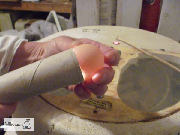 Candling Eggs