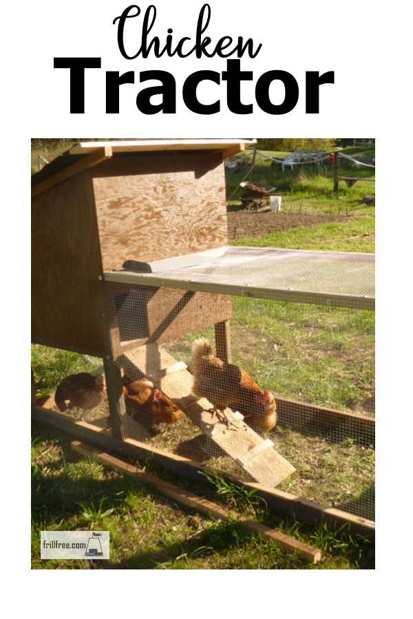 Chicken Tractor