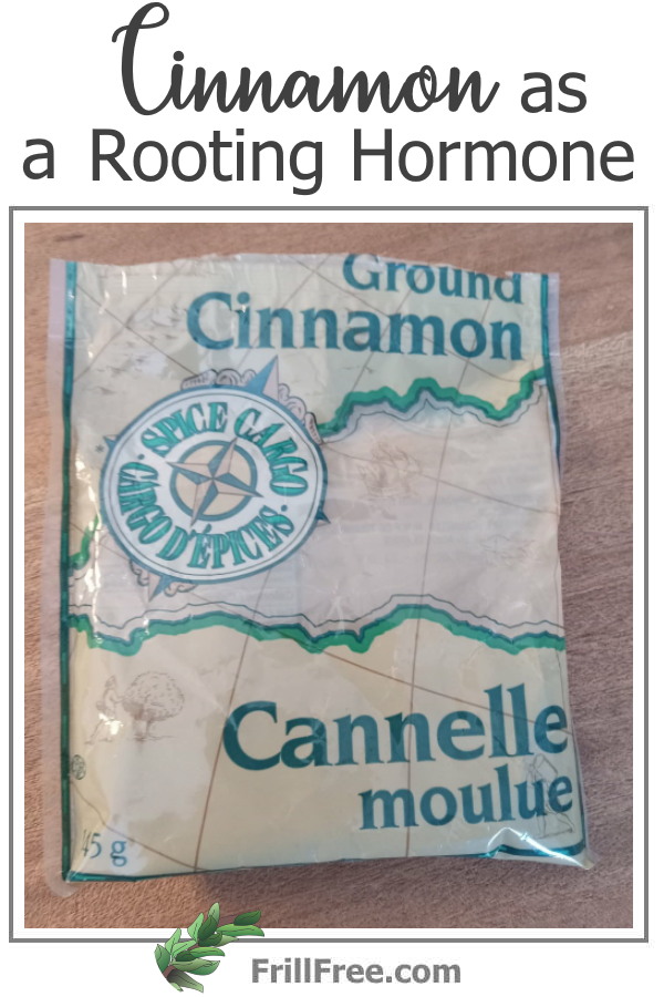 cinnamon-as-a-rooting-hormone-600x900.jpg