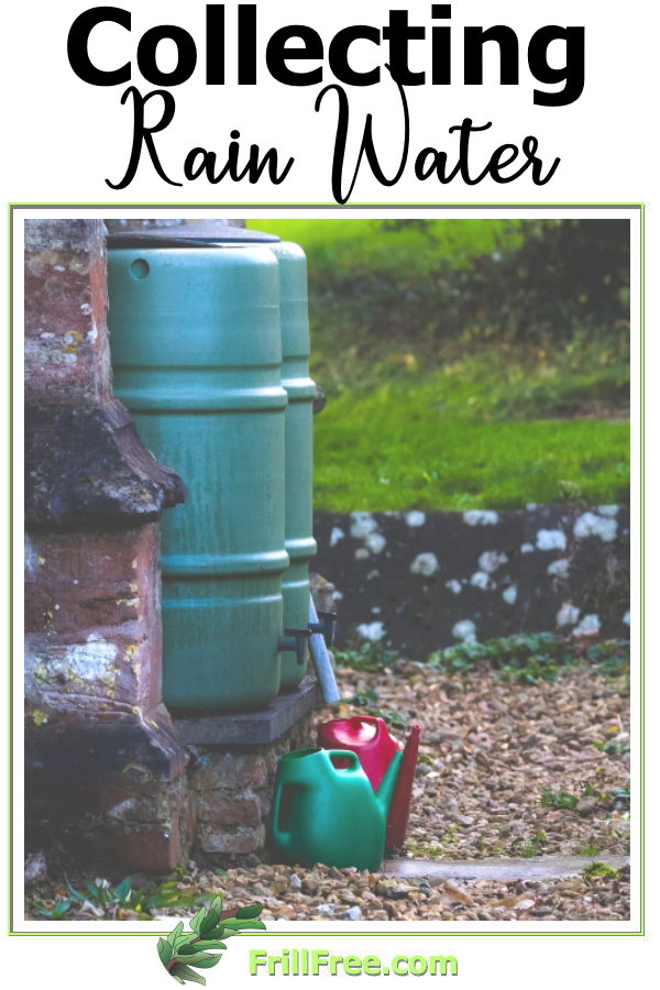 collecting-rain-water600x900.jpg
