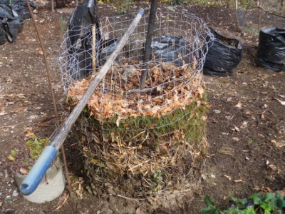 Leaves composting in a wire bin