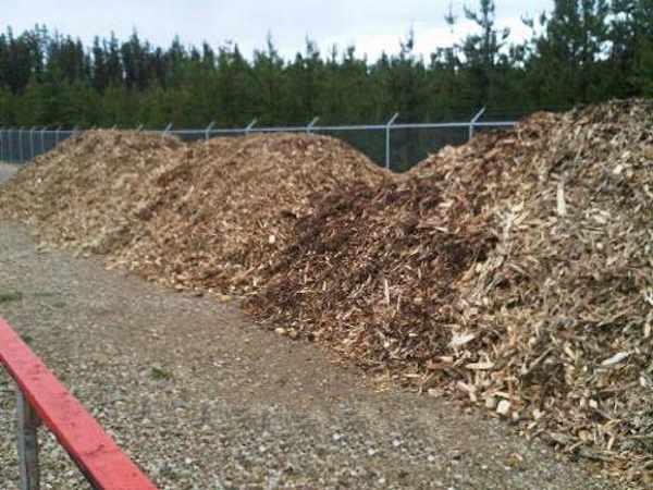 Wood chips cover the shrouds for insulation