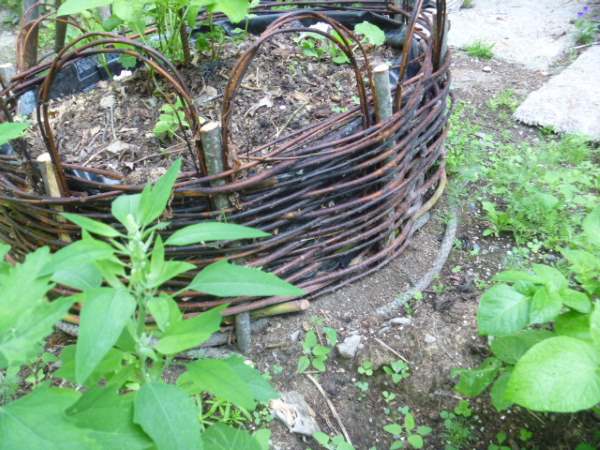 Coracle Bed